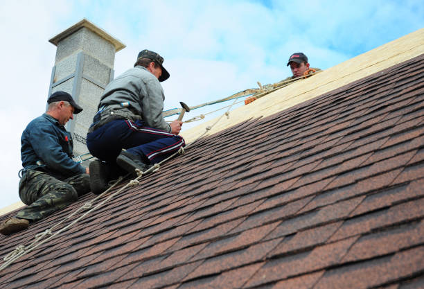 Best Roof Gutter Cleaning  in Kaunakakai, HI